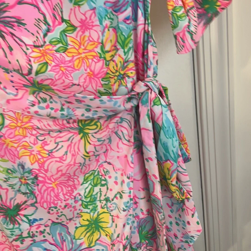 NWT Lilly Pulitzer Darlah Dress - Picture 4 of 5
